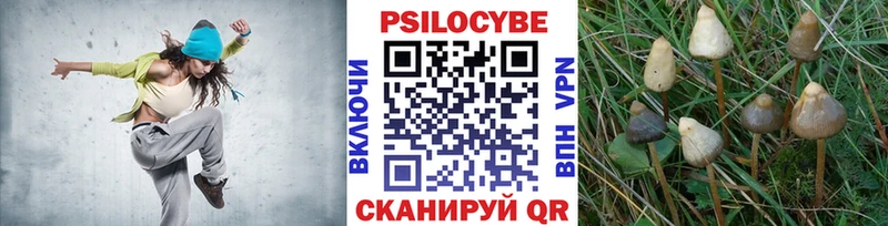Псилоцибиновые грибы мицелий  Южноуральск 